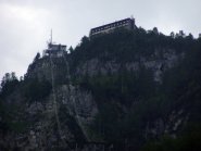 Vogel_45